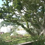 Helios Hotel Capri